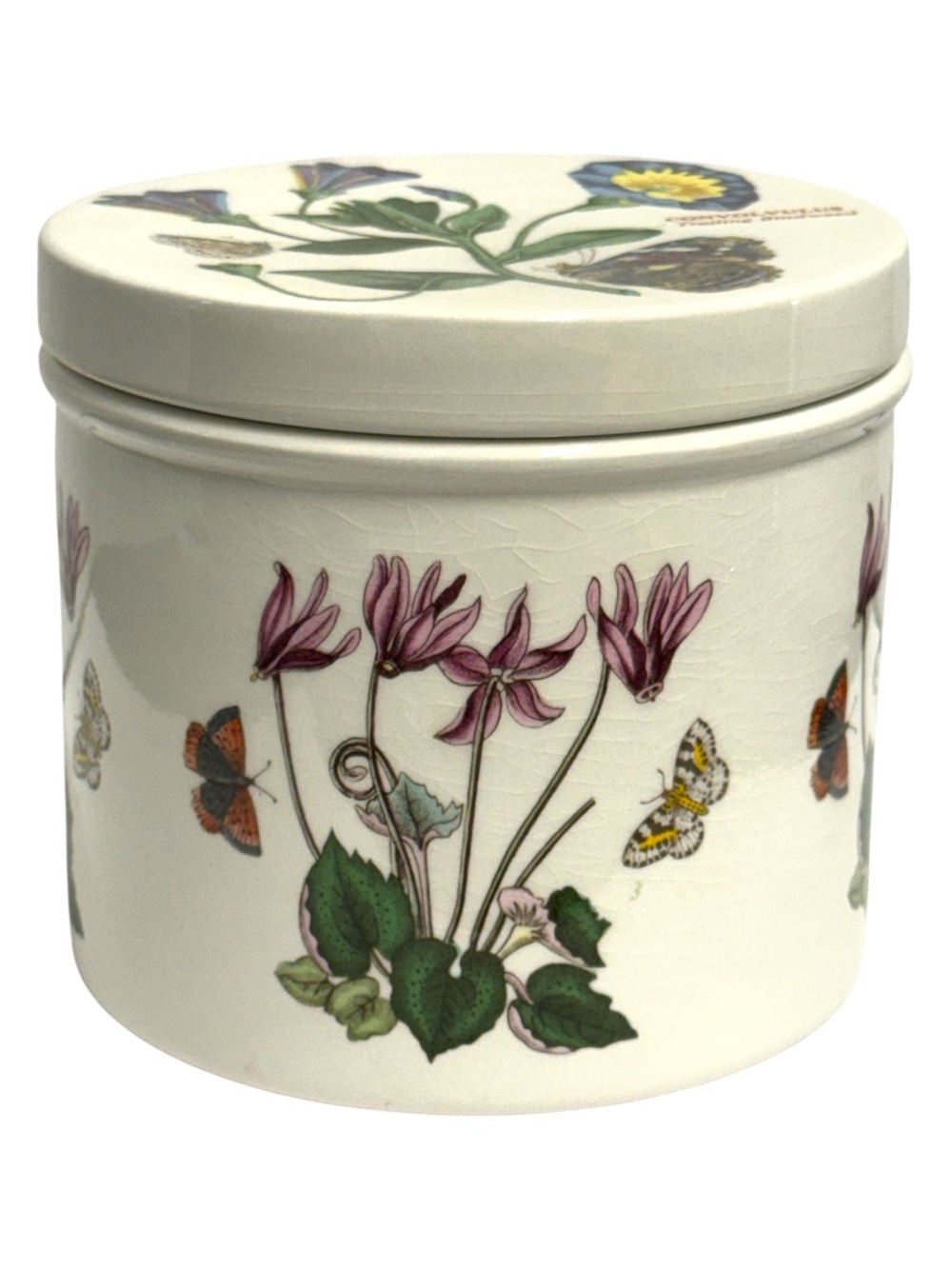 Portmeirion Botanic Garden Canister with Lid